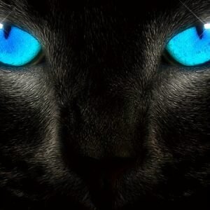 Men's Fashionable Color Blocked Short Sleeved Round Neck T-shirt, Summer Outdoor, 3D Heartbeat And Airplane Graphic Printing