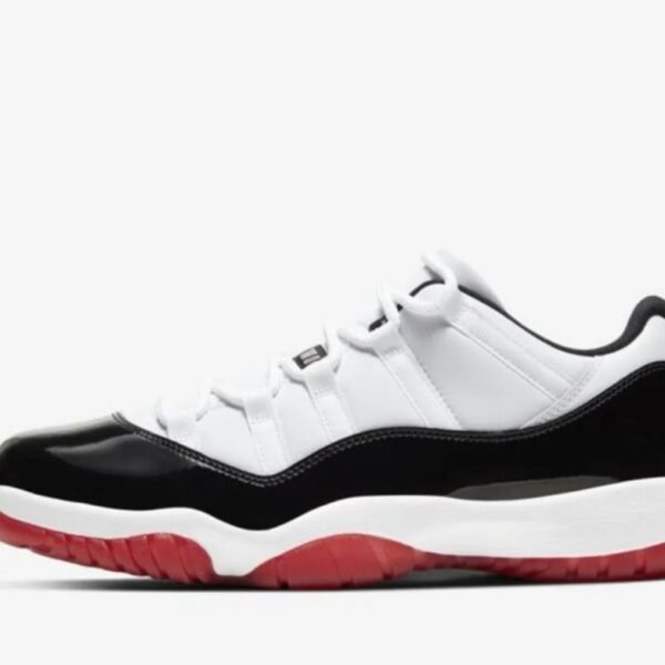 Nike Low dunk Jordan shoes